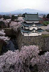 p3601.jpg
