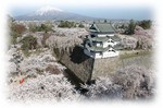sakura-1.jpg